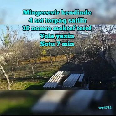 110 məhəllə: 4 sot, Maklerlər narahat etməsin, Kupça (Çıxarış)
