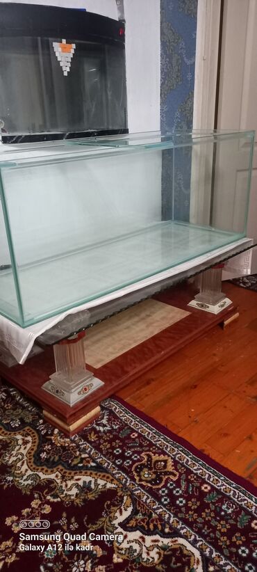 bitkilər: Şüşə akvarium və üst filtr korpusu bundan başqa istənilən ölçüdə