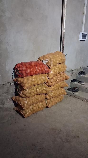 Картошка Джелли
