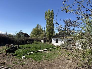 Продажа коттеджей и домов: Дом с участком. - Тип: одноэтажный частный дом с двускатной крышей и — 13