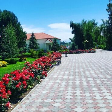 Продажа домов: Коттедж, 170 м², 6 комнат, Собственник, Евроремонт — 18