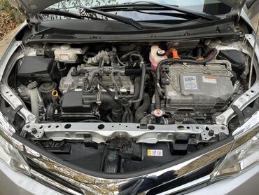 Toyota: Toyota Corolla: 1.5 l | 2019 il Universal — 12