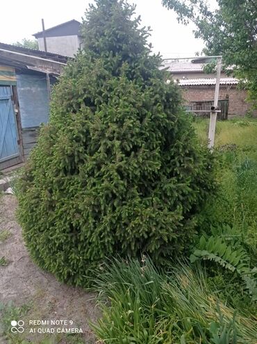Декор для дома и сада: Декор для дома и сада, Самовывоз