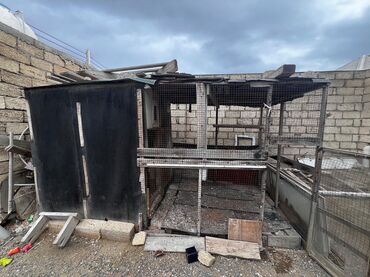 yuvalar: Satılır: Taxta konstruksiyalı quşxana/güvercinxana - Material: ağac
