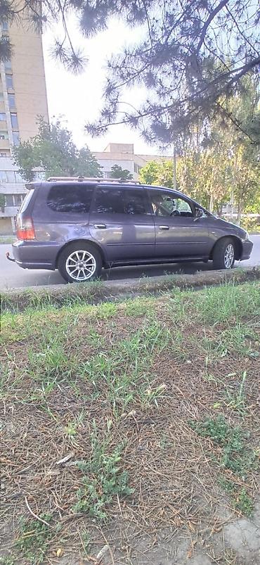 absolute: Honda Odyssey: 2002 г., 3 л, Автомат, Бензин, Минивэн — 3