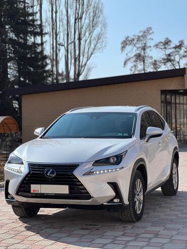 Lexus: Lexus NX: 2018 г., 2 л, Автомат, Бензин, Кроссовер