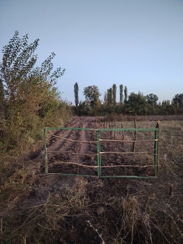 Torpaq sahələrinin satışı: 50 sot, Kənd təsərrüfatı, Mülkiyyətçi, Müqavilə