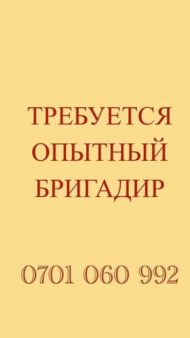 работа со знанием турецкого: Обязанности: • Подготовка модели к запуску • Пошив образцов •