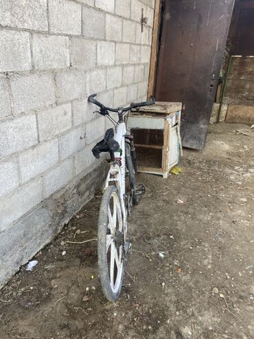 Горные велосипеды: Горный велосипед, Рама M (156 - 178 см), Сталь — 9