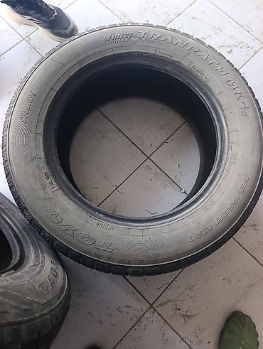 уто 404: Зимние шины Toyo Winter Tranpath MK4 α (MK4a) для внедорожников/SUV — 3