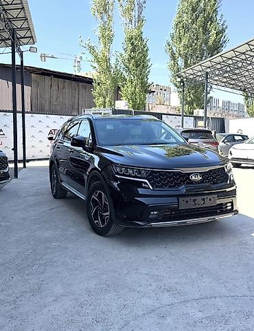 kia cerato: Kia Sorento: 2021 г., 1.6 л, Автомат, Гибрид, Кроссовер — 1
