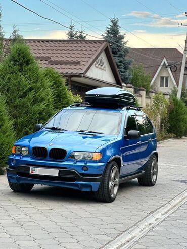 BMW: BMW X5: 2003 г., 4.6 л, Автомат, Бензин, Кроссовер