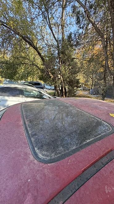 Другие детали кузова: Honda Civic 1993 г. — авто на разбор. Любые запчасти. Доступно по — 4