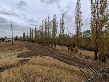 продаю дом в таласе: 11 соток, Для сельского хозяйства, Красная книга