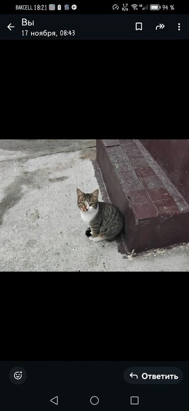 Həyət evləri və villaların satışı: M.Ə. Rəsulzadə qəs. 4 otaqlı, 330 kv. m, Təmirsiz -da lalafo.az — 17 Həyət evləri və villaların satışı: M.Ə. Rəsulzadə qəs. 4 otaqlı, 330 kv. m, Təmirsiz — 17