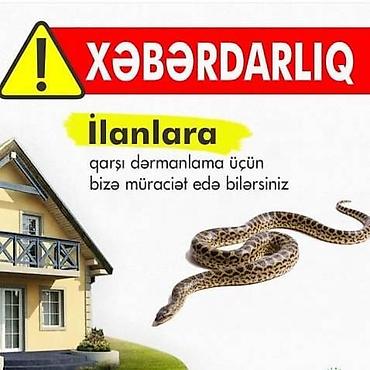kükürd ilan: Görülən Bütün xidmətlərə zəmanət…!!!! Tarakan Qarişqa Bit-Birə Milçək — 10