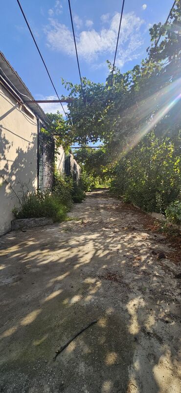 Torpaq sahələrinin satışı: 48 sot, Kənd təsərrüfatı, Kupça (Çıxarış) — 2