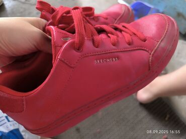 токио красовки: Кроссовки, 38, Skechers, Б/у, цвет - Красный, Самовывоз