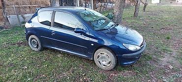 prodaja ventilatora: VRATA ZA PEUGEOT 206 | Vrata u teget plavoj boji za peugeot 206 sa 3 — 2