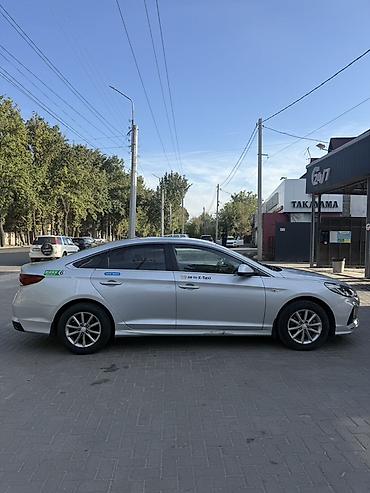 sonata: Hyundai Sonata: 2020 г., 2 л, Автомат, Газ, Седан — 3
