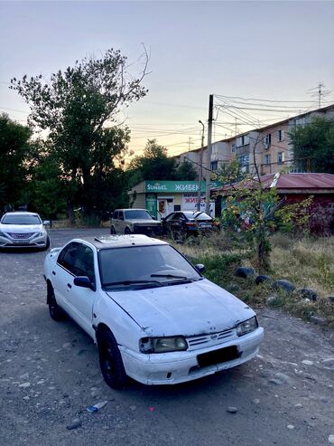 ниссан примьера: Nissan Primera: 1992 г., 1.6 л, Механика, Бензин, Седан