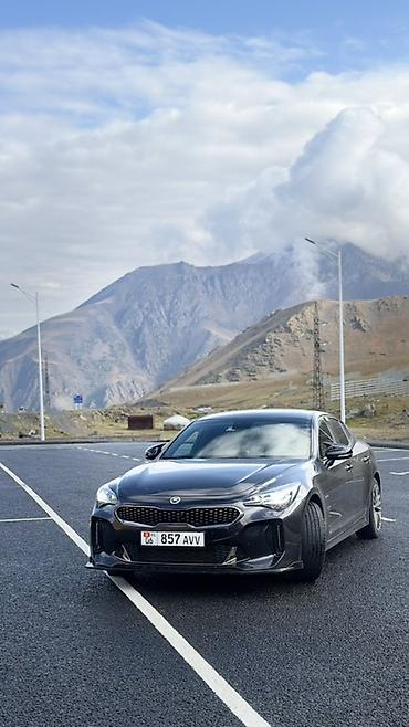 Kia Stinger: 2017 г., 2 л, Бензин, Лифтбек