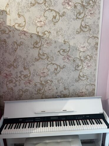 Pianolar: Piano, Rəqəmsal, Yeni