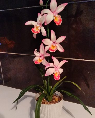 фотограф проф: Орхидея цимбидиум ручная работа!) В нашем профиле ещё много