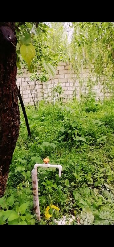 Günlük kirayə evlər: 90 kv. m, 3 otaqlı, İnternet, Telefon, Qaz — 11