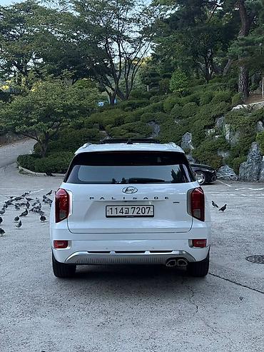 go park: Hyundai Palisade: 2021 г., Кроссовер — 9