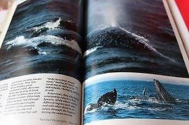 Knjige: NATIONAL GEOGRAPHIC JUN 1987. | National Geographic Jun 1987 — 13