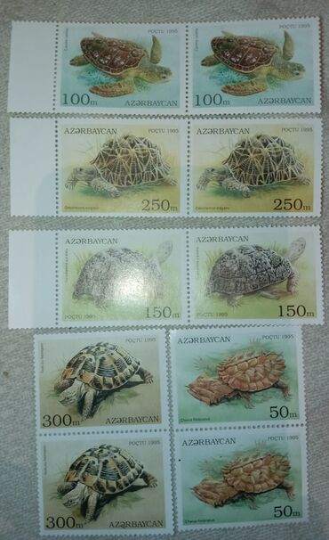 Markalar: Markalar biri 50 gepik — 16