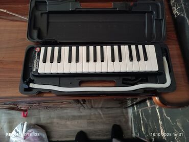 студийные микрофоны: Hohner melodica WhatsApp номер