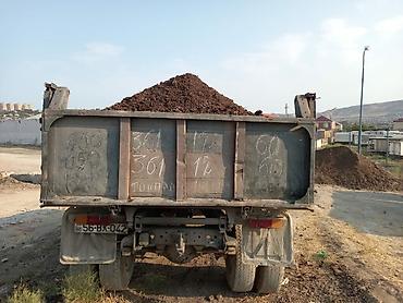 Peyin: Qara Torpaq Peyin sifarisi. Şamaxi Ismayilli rayonlarindan istəyə — 9
