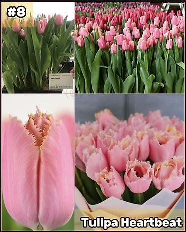 Организация мероприятий: Организация мероприятий | Букеты, флористика — 9