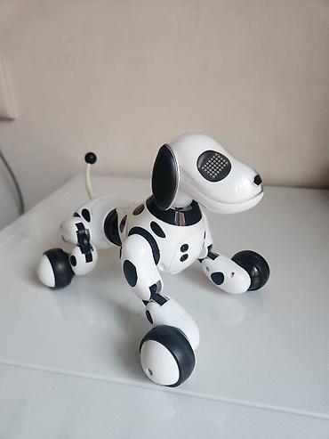 Oyuncaqlar: Ağıllı robot it Zummer.Orijinaldır xaricden getirilib.Tekerli rahat — 5