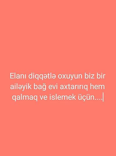 xaşaxuna ev: Ailə olaraq həm qalmaq, həm də işlətmək üçün bağ evi axtarırıq — 1