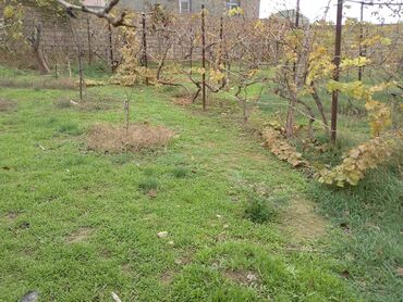 Torpaq sahələrinin satışı: 3 sot, Tikinti, Kupça (Çıxarış) — 8