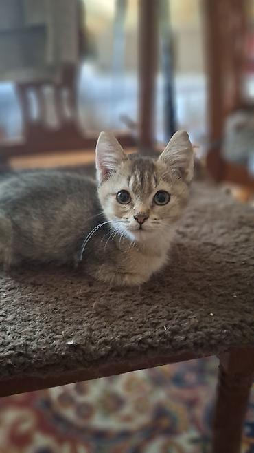 мятный шарик: 3 месяца, Мальчик — 1