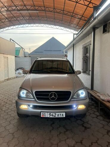 ман мерседес: Mercedes-Benz M-Class: 2002 г., 3.2 л, Автомат, Газ, Внедорожник