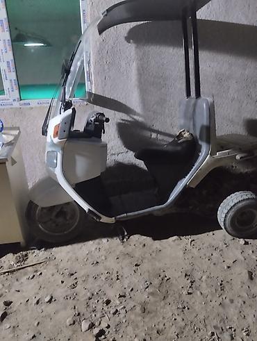 Мототехника: Скутер Honda Gyro Canopy (трицикл с крышей и лобовым стеклом) — 3