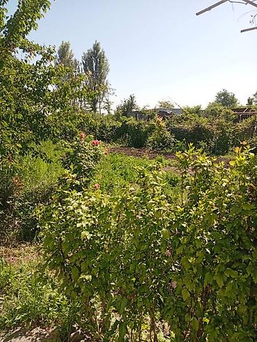 Продажа коттеджей и домов: Продаю дом совхоз ада тоо, участок 11соток, дом 4 к, кух, баня, гараж — 19