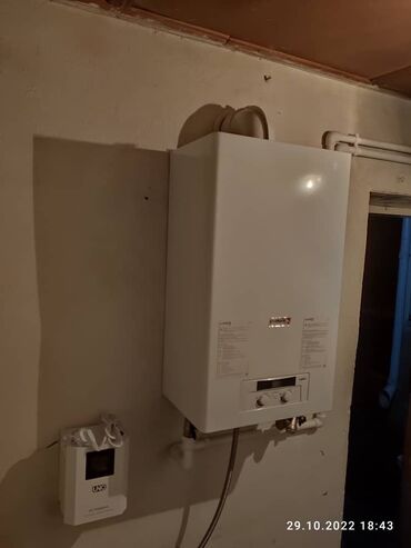 Газовые котлы: Газовый котел Protherm Lynx (Рысь) Имеется Сервисный Центр! 24 мес — 7