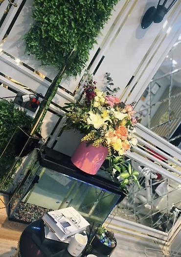 akvarium qızdırıcı: Dekorativ akvarium – qapaqlı, şüşə korpuslu, LED işıq lentli üst — 2