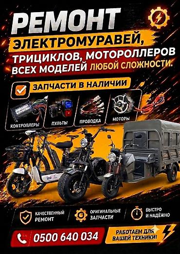 санарип тв: Ремонт электромуравейев, трициклов и мотороллеров - Профессиональная — 1