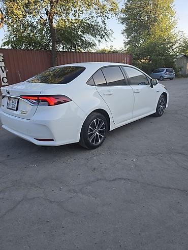 levin corolla: Toyota Corolla: 2022 г., Вариатор, Гибрид, Седан — 1