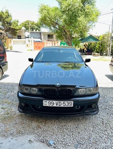bmw 318 1998: BMW 5 series: 3 л | 2003 г. Седан