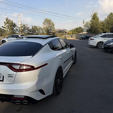 дверь марк 2: Kia Stinger: 2021 г., 3.3 л, Бензин, Лифтбек — 3