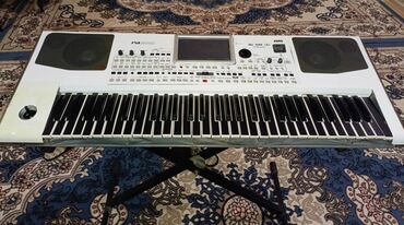 Gitaralar: Sintezator, Korg, İşlənmiş