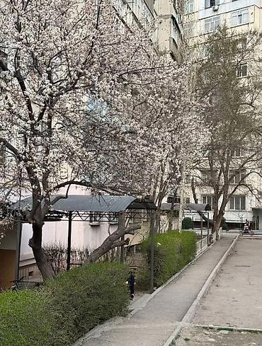 105: 3 комнаты, 62 м², 6 мкр 105 серия, 8 этаж, Евроремонт — 6